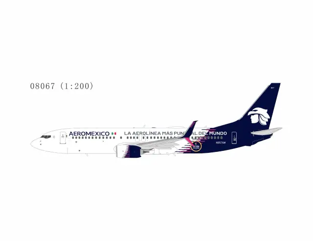 NG08067 NGmodels Boeing 737-800 飞机模型