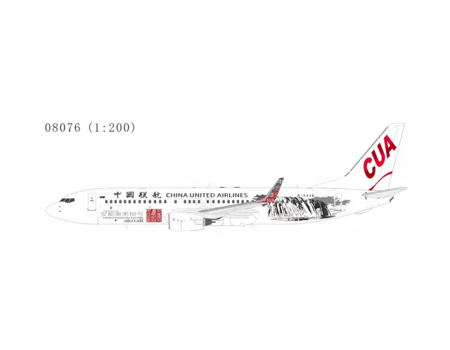 NG08076 NGmodels Boeing 737-800 飞机模型