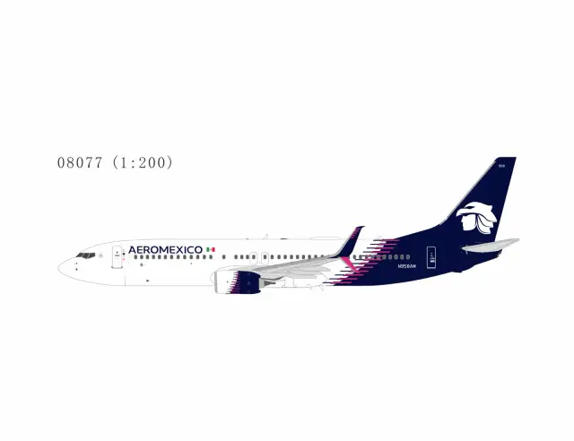 NG08077 NGmodels Boeing 737-800 飞机模型