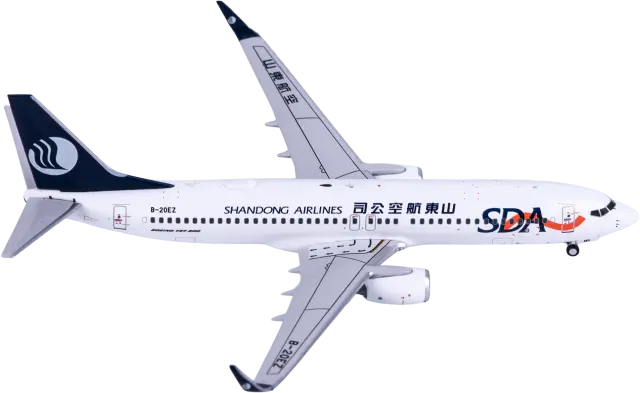 CW25019 CW model Boeing 737-800