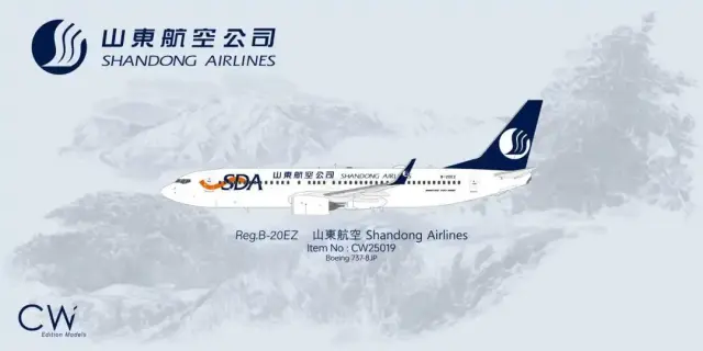 CW25019 CW model Boeing 737-800